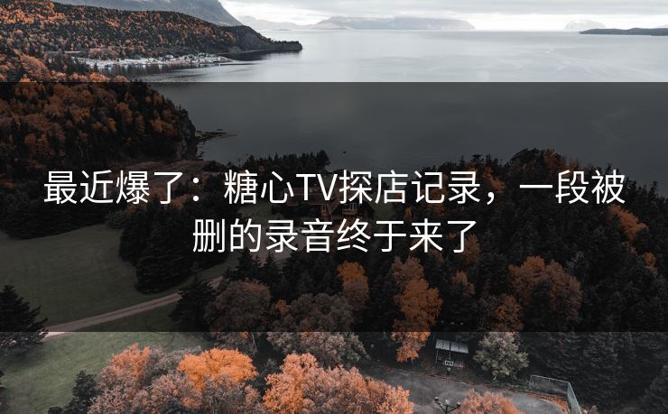 最近爆了:糖心TV探店记录,一段被删的录音终于来了