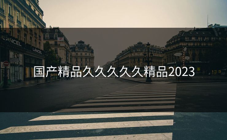国产精品久久久久久精品2023