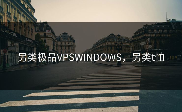 另类极品VPSWINDOWS，另类t恤