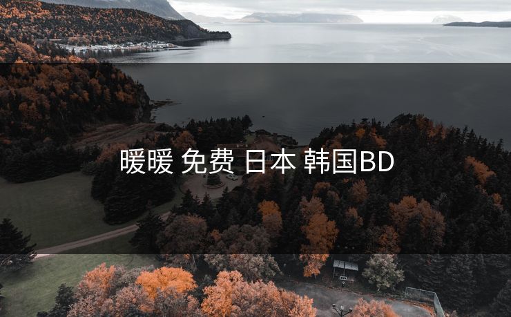 暖暖 免费 日本 韩国BD